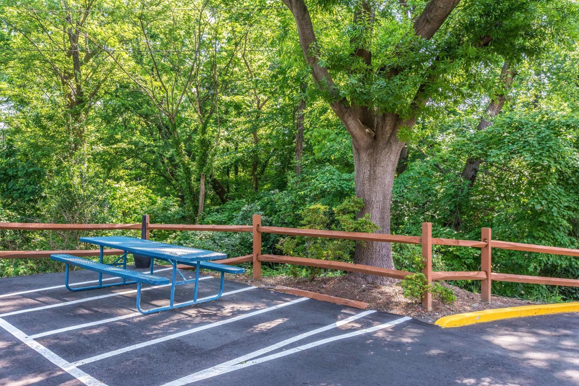 Comfort Inn Charlotte Airport Uptown Exterior foto